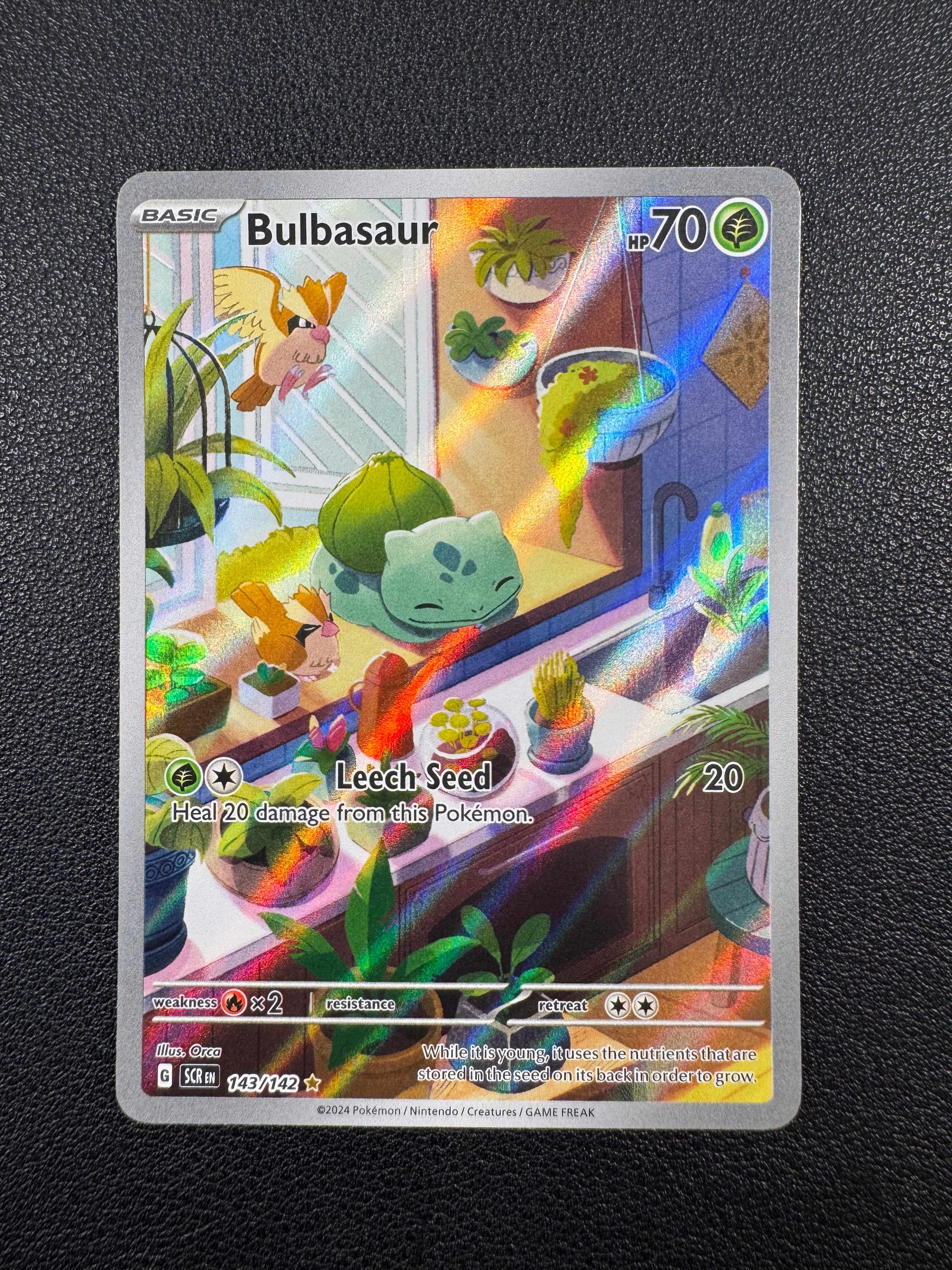 Bulbasaur (Illustration Rare) 143/142 Stellar Crown Pokémon TCG